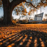 Swing under an autumn tree with colorful leaves glowing photo