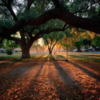Warm sunset light filters through trees in a peaceful park photo