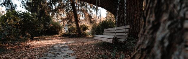 Relaxing wooden swing in a peaceful garden setting photo