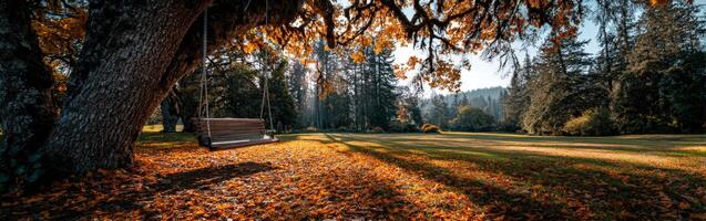 Swing under the tree in a serene autumn park setting photo