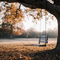 Still swing under an old tree in a serene autumn setting photo