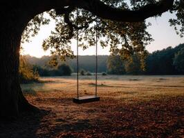 Swing hanging from a tree at sunset in a peaceful field photo