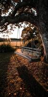 Swing hanging from a tree in a tranquil countryside at sunset photo