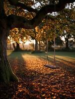 Swing hanging from a tree in a sunny autumn landscape photo