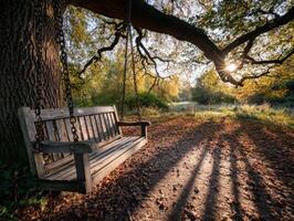 Swing under a large tree in a peaceful park during sunset photo