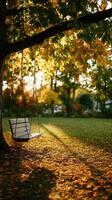Swing under a tree with autumn leaves at sunset photo