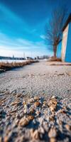 Paved path lined with scattered grains under clear blue sky photo