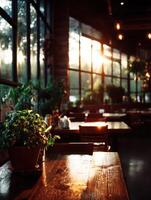 Cozy restaurant interior with warm sunlight filtering through large windows photo