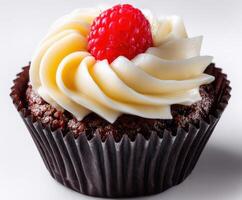 Chocolate cupcake with cream and raspberry on a simple backdrop photo