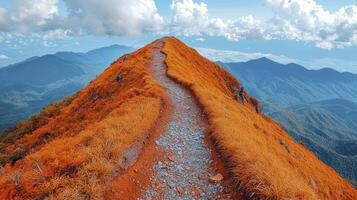 A path leading up to a mountain with orange grass photo