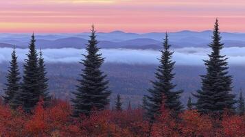 A view of the mountains and trees in autumn photo