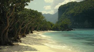 A beach with a large body of water and trees photo