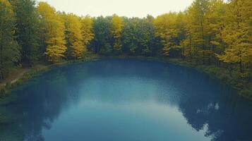 A lake surrounded by trees in the fall photo