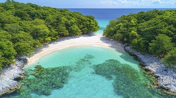 A beautiful beach surrounded by trees and water photo