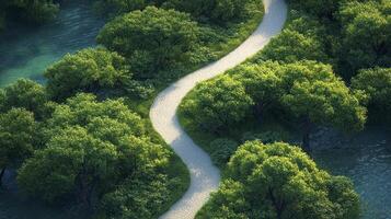A path through a forest of trees photo
