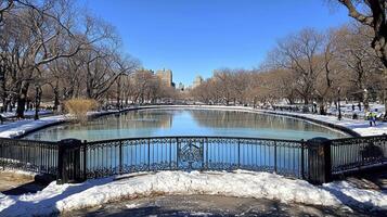 A pond in central park covered in snow photo
