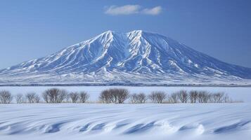 A snowy mountain covered in snow photo