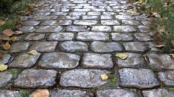 A cobblestone path with leaves on it photo