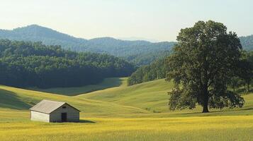 A small cabin in a field with trees and hills photo