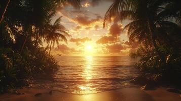 Tropical beach at sunset with palm trees photo