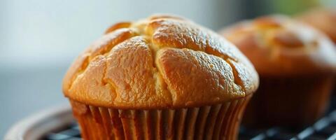 close up of a muffin on a cooling rack photo