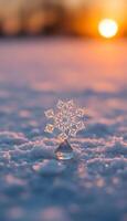 snowflake that is sitting in the snow photo