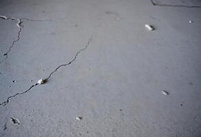 crack in the concrete with small white dots photo