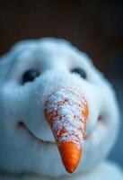 close up of a snowman's nose with a carrot sticking out of photo