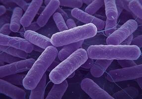 Microscopic View of Bacteria - Rod-Shaped Cells, Purple Color, Science, Biology, Microbiology Study. photo