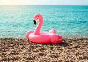 A pink flamingo sitting on the beach with the ocean in the background photo