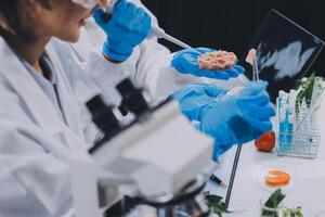 Two people in lab coats and gloves are working on a computer photo