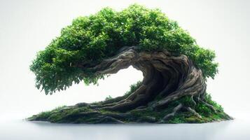 A tree with roots on a white background photo