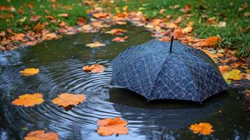 An umbrella is sitting in a puddle of water photo