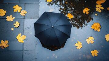 A black umbrella is on the ground photo