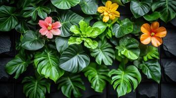 A close up of some colorful flowers and leaves photo