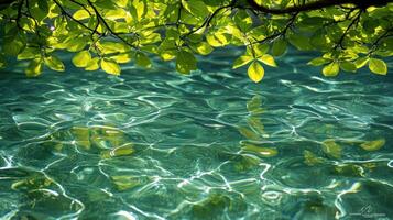 A tree branch is hanging over the water photo