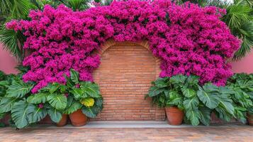 A wall with a large pink flower growing on it photo