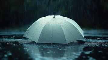 An umbrella is standing in the rain photo