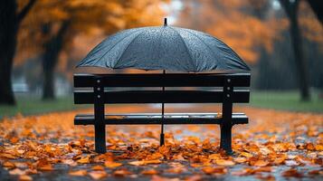 An umbrella is sitting on a bench in the middle of an autumn park photo