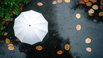 An umbrella is on the ground in the rain photo