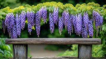 A bench with purple flowers on it photo