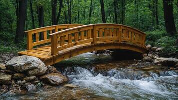 A wooden bridge over a stream in the woods photo