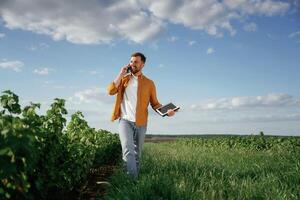 Talking by, phone, holding notepad. Handsome man is on the agricultural field at daytime photo