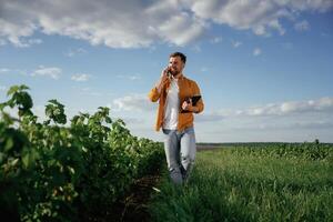 Talking, by phone, holding notepad. Handsome man is on the agricultural field at daytime photo