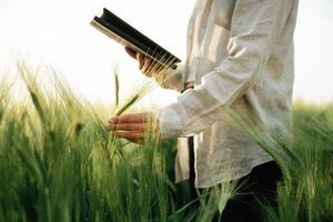 Digital tablet in hand. Woman in white is on, the agricultural wheat field photo