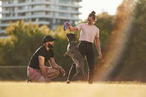 Playing ,with ,a ,rubber toy. Man and woman are with dog on the field photo