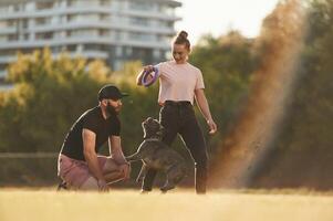 Playing with ,,a, rubber toy. Man and woman are with dog on the field photo