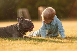 Sitting ,on, the ,ground. Cute little boy is with dog on the field photo