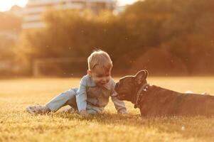 Cute, little boy is with dog on the field. photo