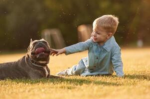 Sitting on the ground. Cute little boy is with ,,dog on the field photo